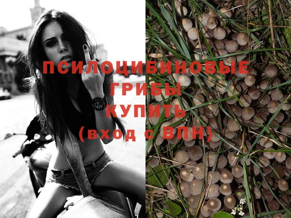 a pvp Белоозёрский