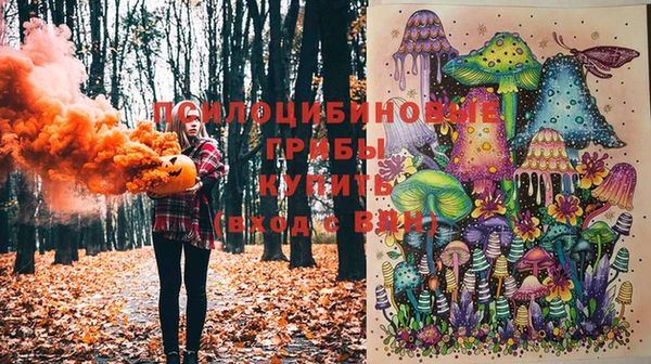 гашик Балахна
