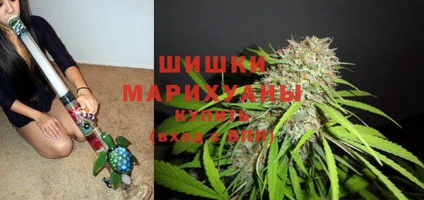 гашик Балахна