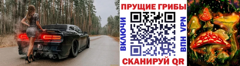 Галлюциногенные грибы Psilocybine cubensis  Заречный 
